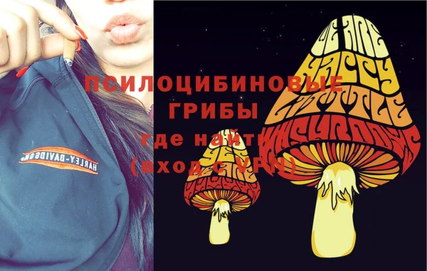 дживик Верея