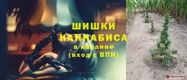 дживик Верея